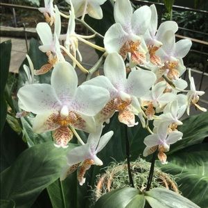 Meet your Posher, Ely